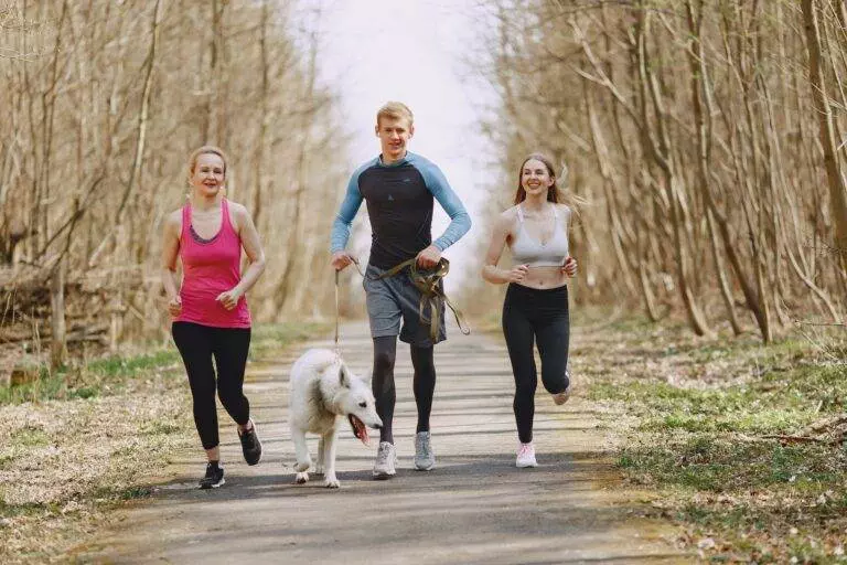 photo of two women and man jogging with dog on pavement