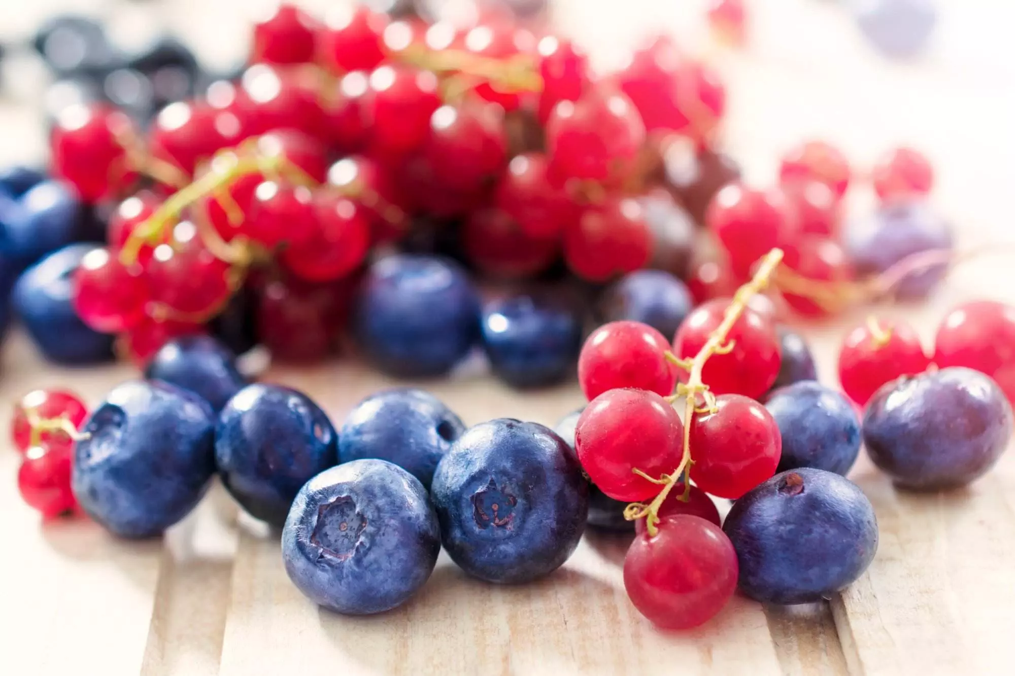 nutritious berries